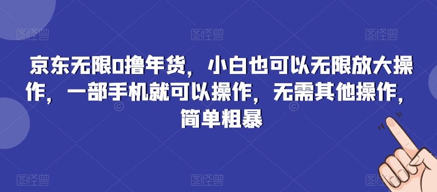 京东无限0撸年货，小白也可以无限放大操作，一部手机就可以操作，无需其他操作，简单粗暴-小艾网创