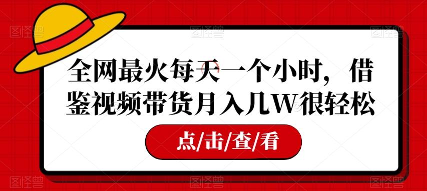 全网最火每天一个小时，借鉴视频带货月入几W很轻松【揭秘】-小艾网创