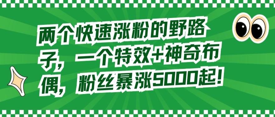两个快速涨粉的野路子，一个特效+神奇布偶，粉丝暴涨5000起【揭秘】-小艾网创