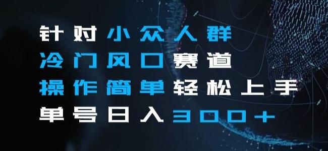 针对小众人群冷门风口赛道，操作简单轻松上手单号日入300+-小艾网创