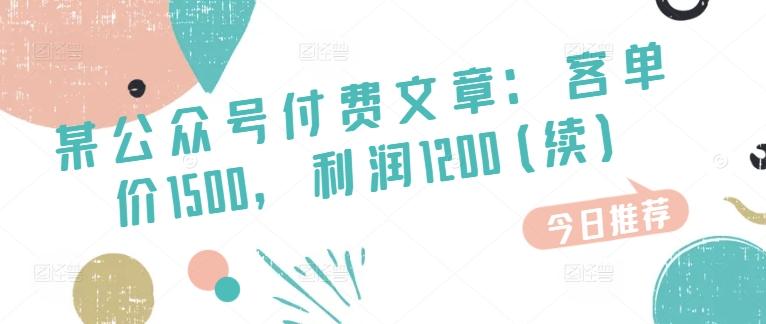 某公众号付费文章：客单价1500，利润1200(续)，市场几乎可以说是空白的-小艾网创