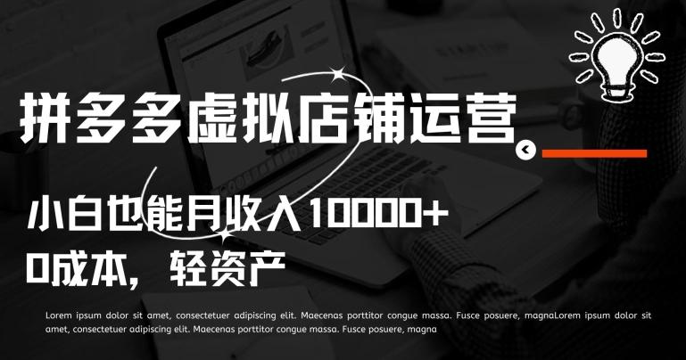 拼多多虚拟店铺运营小白也能月收入10000+【揭秘】-小艾网创