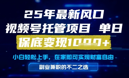 25年最新风口，视频号托管项目，单日保底变现1k+，手把手教学【揭秘】-小艾网创