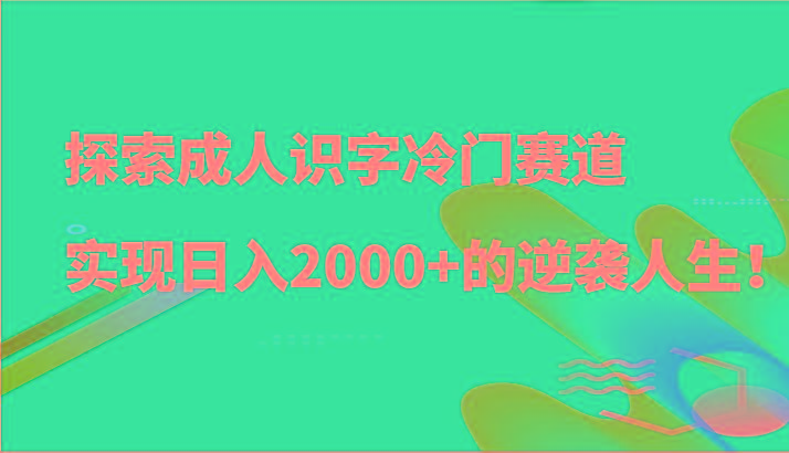 探索成人识字冷门赛道，实现日入2000+的逆袭人生！-小艾网创