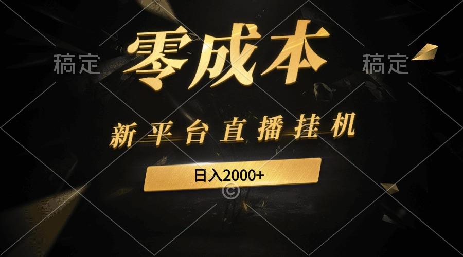(9841期)新平台直播挂机最新玩法，0成本，不违规，日入2000+-小艾网创