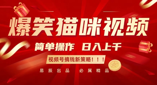 爆笑猫咪视频：简单操作，日入过K，视频号搞钱新策略【揭秘】-小艾网创