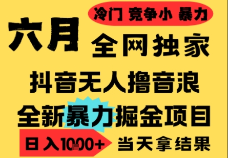 25年6月高爆抖音无人直播最新撸音浪掘金项目，小白可做，无脑日入1k+，门槛低可批量矩阵【揭秘】-小艾网创