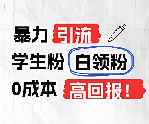 暴力引流学生粉白领粉，吊打以往垃圾玩法，0成本，高回报-小艾网创