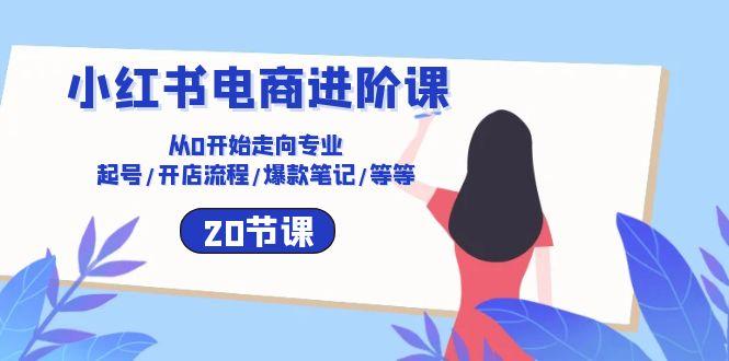 小红书电商进阶课：从0开始走向专业 起号/开店流程/爆款笔记/等等(20节-小艾网创