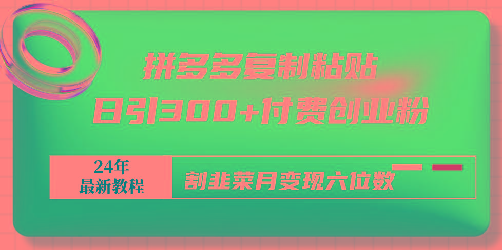 拼多多复制粘贴日引300+付费创业粉，割韭菜月变现六位数最新教程！-小艾网创