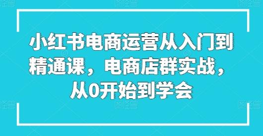 小红书电商运营从入门到精通课，电商店群实战，从0开始到学会-小艾网创