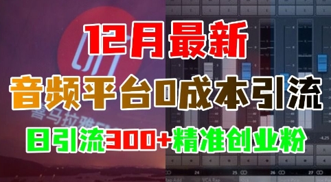12月最新：音频平台0成本引流，日引流300+精准创业粉-小艾网创