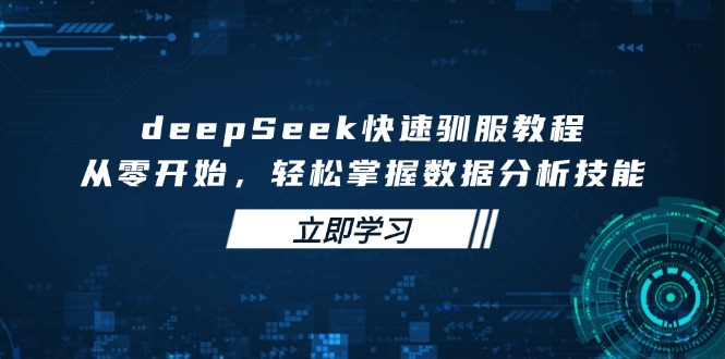 deepSeek快速驯服教程，从零开始，轻松掌握数据分析技能-小艾网创