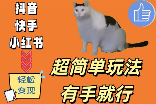 超简单玩法，有手就行，靠猫咪视频日入500+【揭秘】-小艾网创