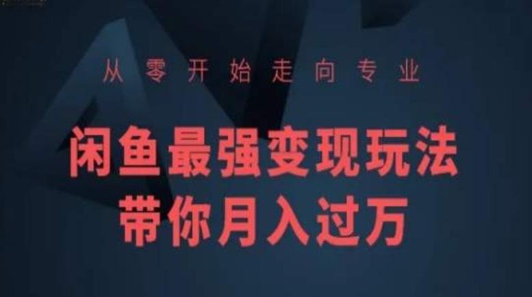 从零开始走向专业，闲鱼最强变现玩法带你月入过万-小艾网创
