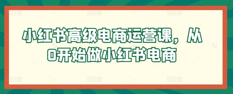 小红书高级电商运营课，从0开始做小红书电商-小艾网创