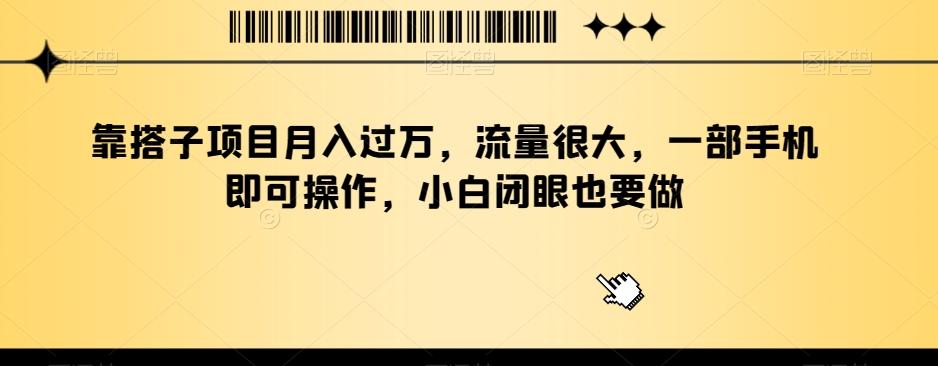 靠搭子项目月入过万，流量很大，一部手机即可操作，小白闭眼也要做-小艾网创