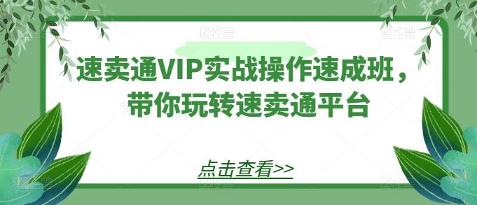 速卖通VIP实战操作速成班，带你玩转速卖通平台-小艾网创