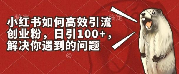小红书如何高效引流创业粉，日引100+，解决你遇到的问题【揭秘】-小艾网创