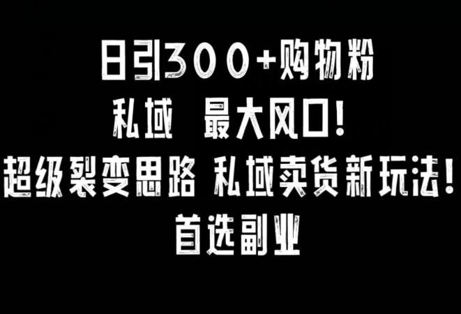 日引300+购物粉，超级裂变思路，私域卖货新玩法，小红书首选副业【揭秘】-小艾网创