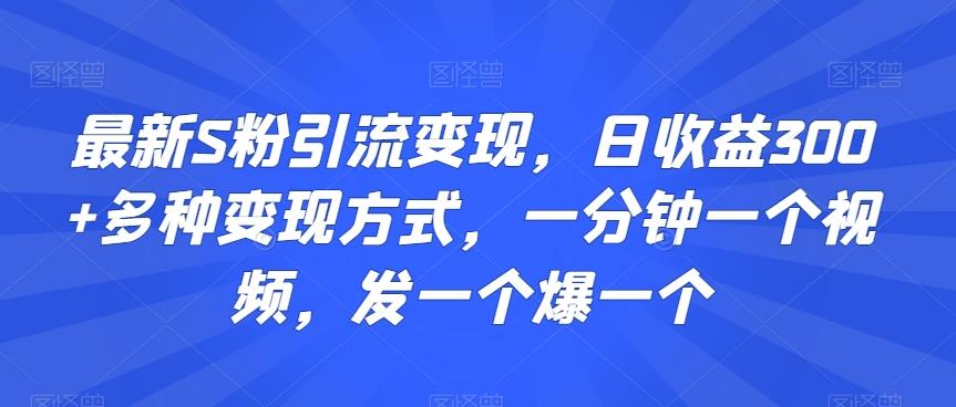 最新S粉引流变现，日收益300+多种变现方式，一分钟一个视频，发一个爆一个【揭秘】-小艾网创