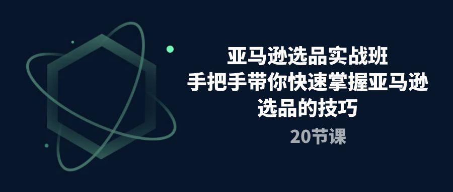 亚马逊选品实战班，手把手带你快速掌握亚马逊选品的技巧(20节课-小艾网创