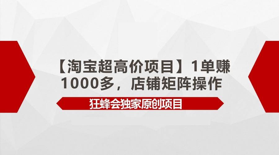 【淘宝超高价项目】1单赚1000多，店铺矩阵操作-小艾网创