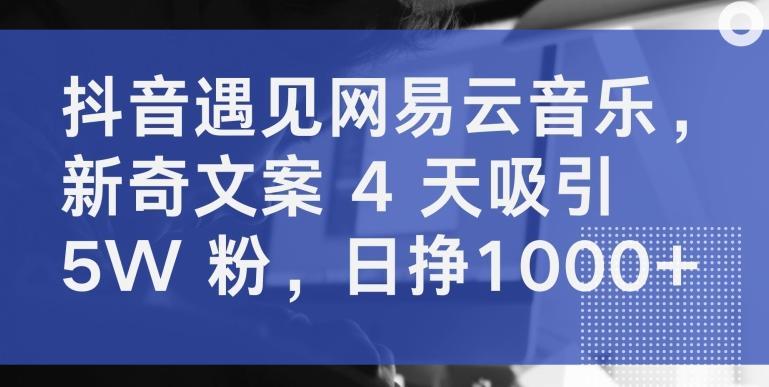 抖音遇见网易云音乐，新奇文案 4 天吸引 5W 粉，日挣1000+【揭秘】-小艾网创