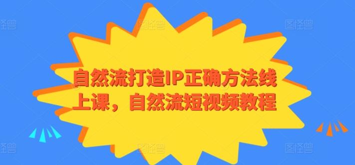 自然流打造IP正确方法线上课，自然流短视频教程-小艾网创