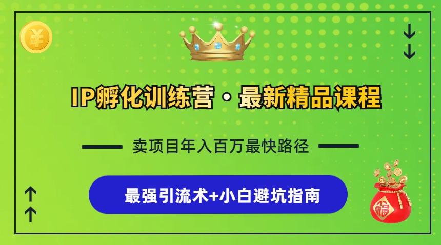 IP孵化训练营，知识付费全流程+最强引流术+小白避坑指南-小艾网创
