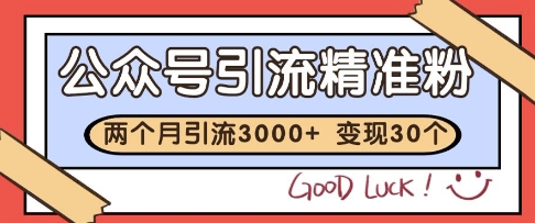 公众号精准粉引流玩法，2个月3000+精准粉，变现30个W【揭秘】-小艾网创