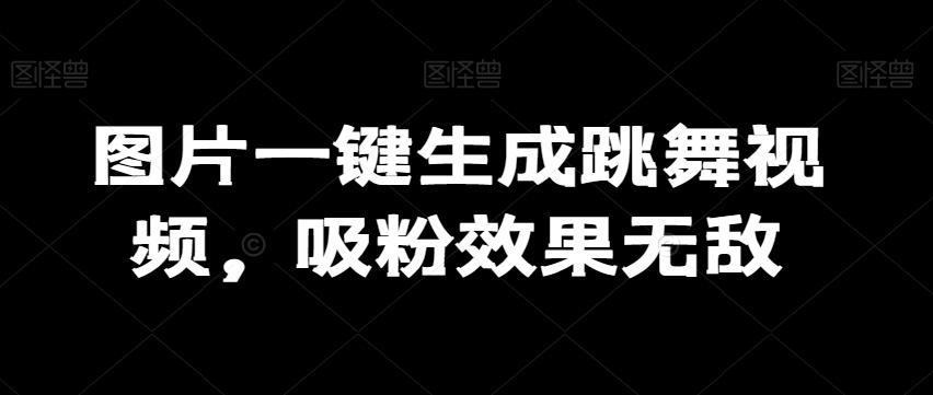 图片一键生成跳舞视频，吸粉效果无敌-小艾网创