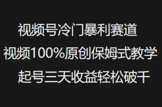 视频号冷门暴利赛道视频100%原创保姆式教学起号三天收益轻松破千-小艾网创