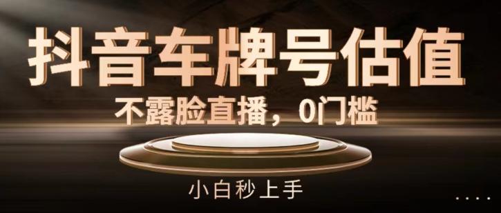 抖音车牌号估值，不露脸直播，0门槛，小白秒上手【揭秘】-小艾网创