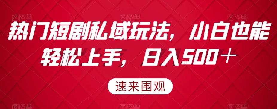 热门短剧私域玩法，小白也能轻松上手，日入500＋-小艾网创