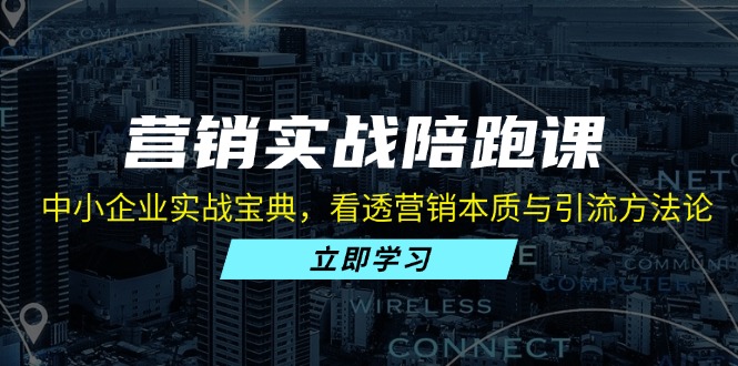 营销实战陪跑课：中小企业实战宝典，看透营销本质与引流方法论-小艾网创