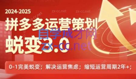 大力老师·2024拼多多运营策略蜕变3.0-小艾网创