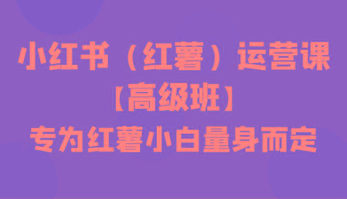 小红书(红薯)运营课【高级班】，专为红薯小白量身而定(42节课)-小艾网创