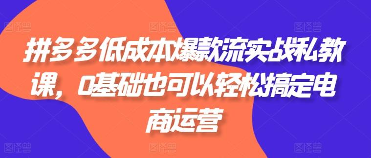 拼多多低成本爆款流实战私教课，0基础也可以轻松搞定电商运营-小艾网创