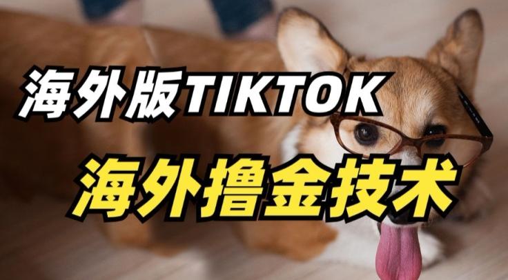 抖音海外版tiktok撸金技术，这个风口行业，赚钱真的不难【揭秘】-小艾网创