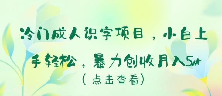 冷门成人识字项目，小白上手轻松，暴力创收月入5w+【揭秘】-小艾网创