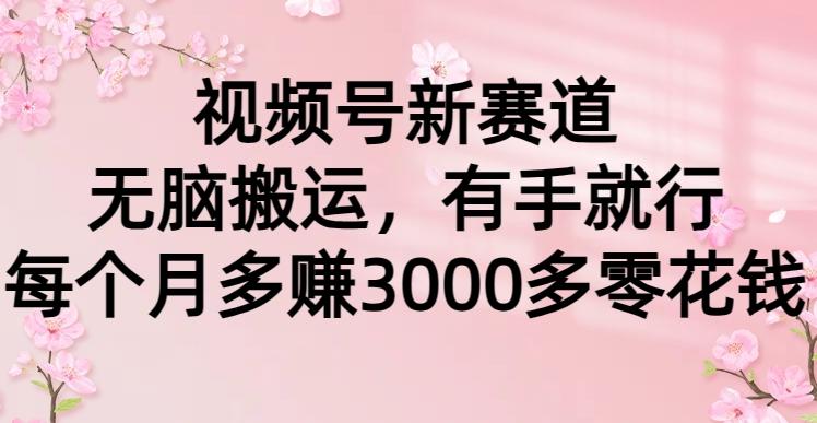 (9278期)视频号新赛道，无脑搬运，有手就行，每个月多赚3000多零花钱-小艾网创