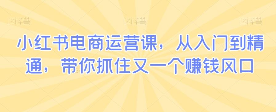 小红书电商运营课，从入门到精通，带你抓住又一个赚钱风口-小艾网创