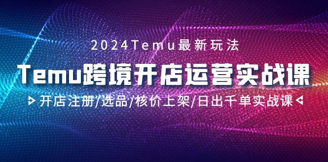 2024Temu跨境开店运营实战课，开店注册/选品/核价上架/日出千单实战课-小艾网创