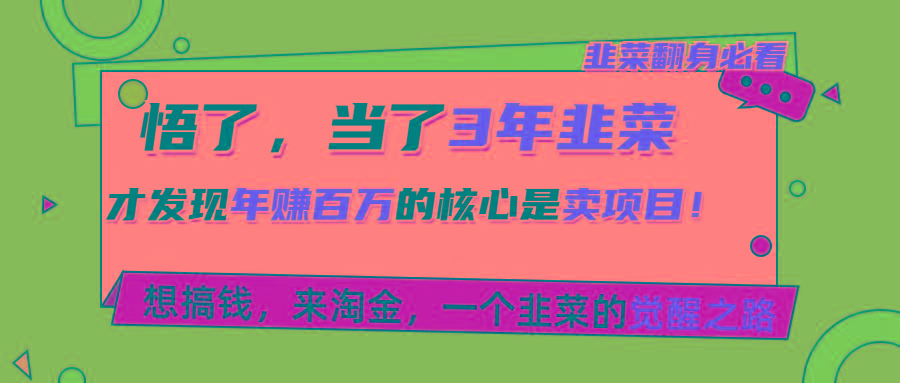 悟了，当了3年韭菜，才发现网赚圈年赚100万的核心是卖项目，含泪分享！-小艾网创