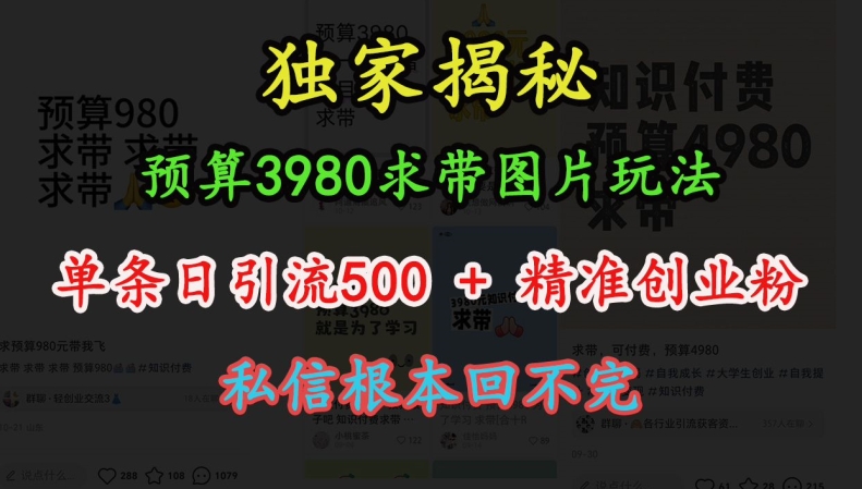 预算3980求带 图片玩法，单条日引流500+精准创业粉，私信根本回不完-小艾网创
