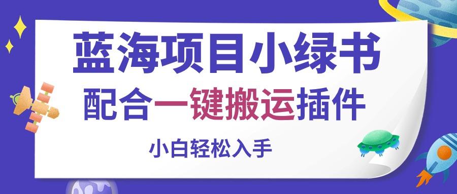 蓝海项目小绿书，配合一键搬运插件，小白轻松入手-小艾网创