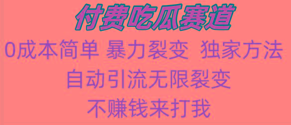 吃瓜付费赛道，暴力无限裂变，0成本，实测日入700+！！！-小艾网创