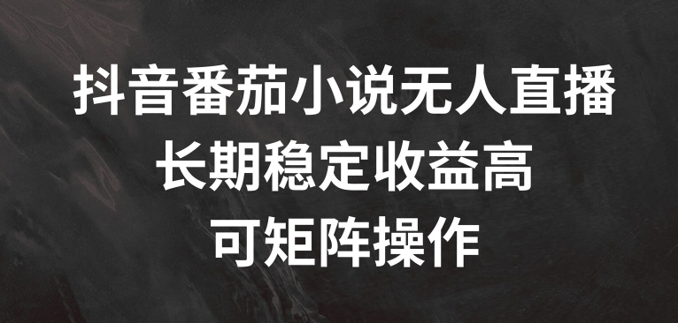 抖音番茄小说无人直播，长期稳定收益高，可矩阵操作【揭秘】-小艾网创