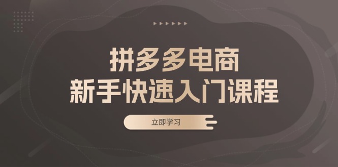 拼多多电商新手快速入门课程：涵盖基础、实战与选款，助力小白轻松上手-小艾网创